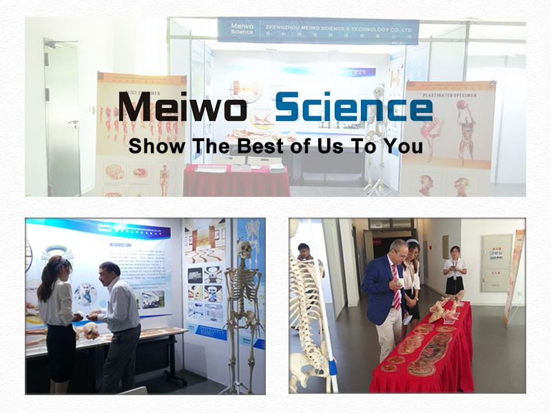 Exhibitions Conferences Exhibitions Conferences