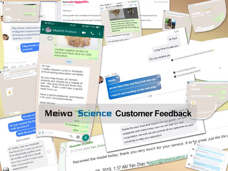 Customer Feedback Customer Feedback